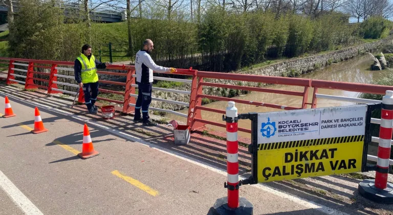 Kocaeli'de Seka Park’a estetik takviye