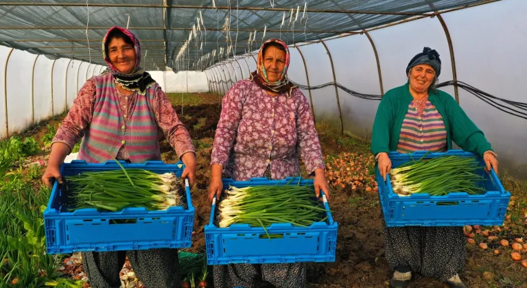 Kocaeli’de seracılık, Büyükşehir’le yaygınlaşıyor