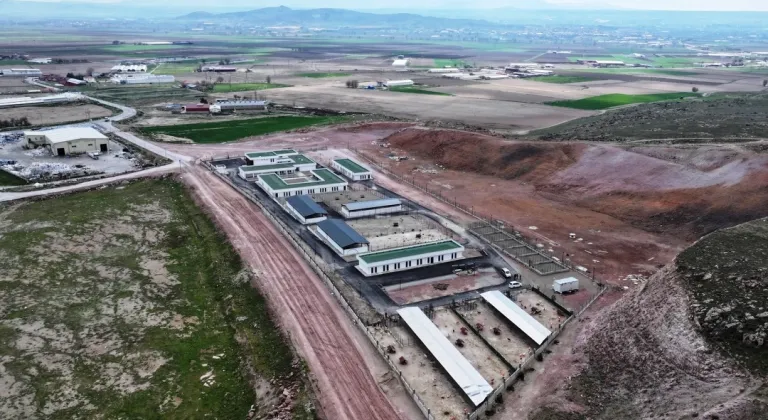 Kocasinan’dan Sokak Hayvanları İçin Örnek Proje