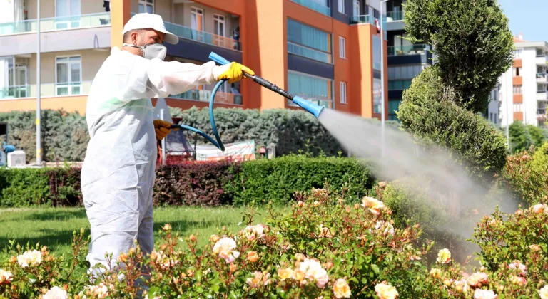 Konya Karatay'da ilaçlama çalışmaları sürüyor
