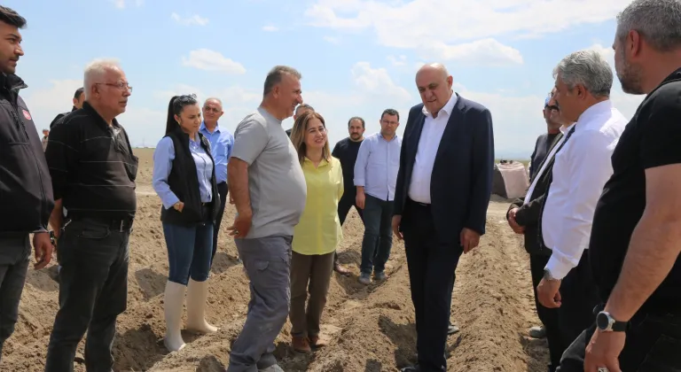 Konya’da patates atağı... İthal tohum dönemi sona eriyor