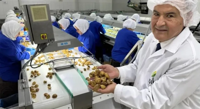 Kuru Meyve Sektöründe 12 Şampiyondan 11’i Ege Bölgesi’nden









