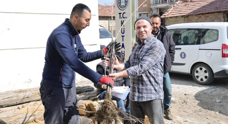 Kütahya’da yerel kiraz türleri toprakla buluşacak