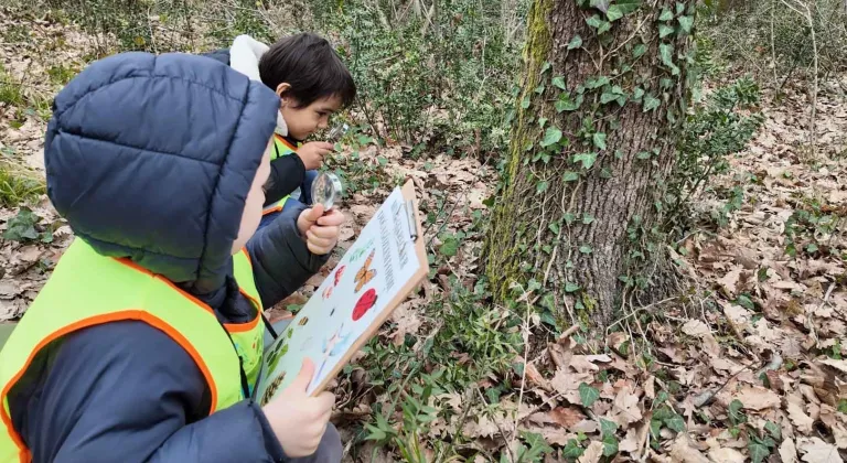 Lokomotif’in minikleri Ormanya’da keşfetti