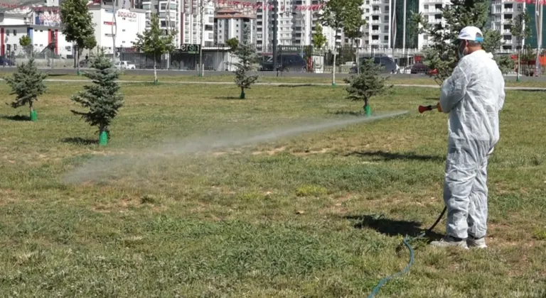 Malatya'da vektörel mücadele sürüyor