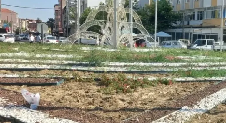 Manisa’da Kurakçıl Peyzaj Uygulamalarıyla Su Tasarrufu ve Güzellik









