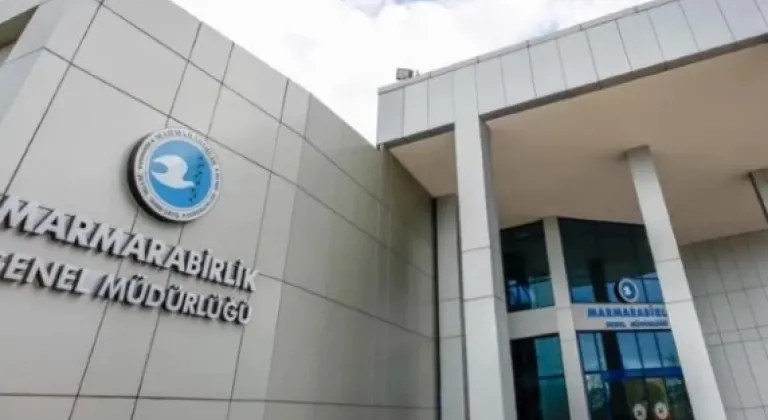Marmarabirlik'ten Zeytincilere 800 Milyon TL Ödeme, Fark Ödemelerinin Tarihi Açıklandı