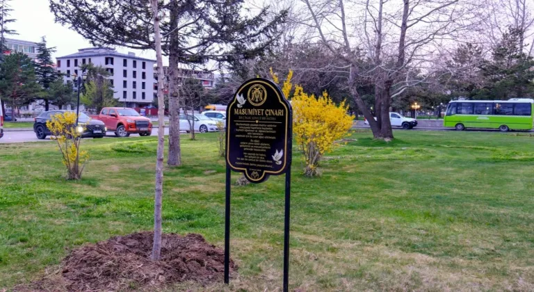 Masumiyet çınarları, kaybedilen canların hatırasını yaşatacak