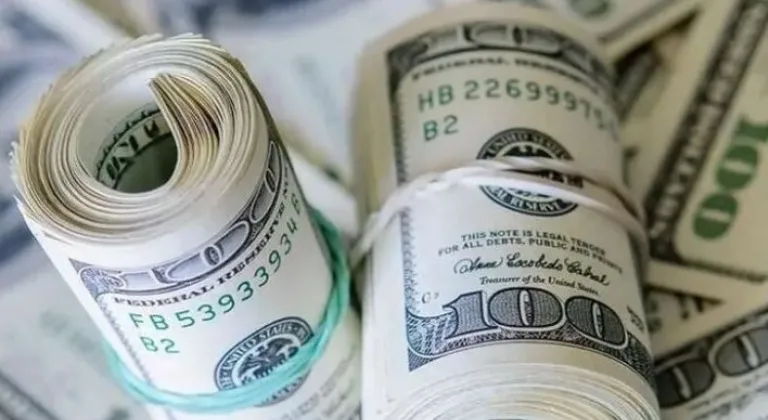 Merkez Bankası Rezervlerde Rekor Kırdı
