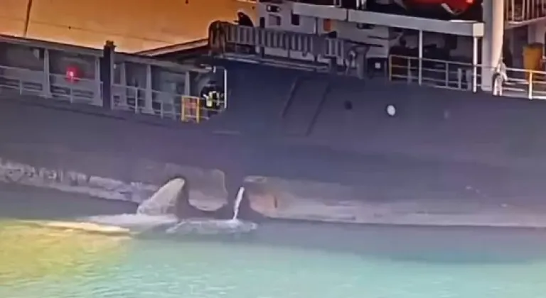 Mersin Limanı’nda denizi kirleten gemiye 13,1 milyon TL ceza