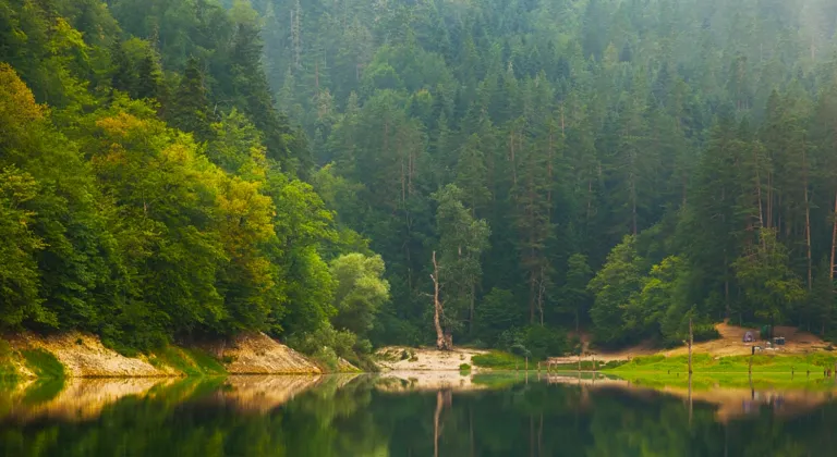 Milli parklar ve doğa korumada yeni dönem... Kanun teklifi TBMM'de kabul edildi