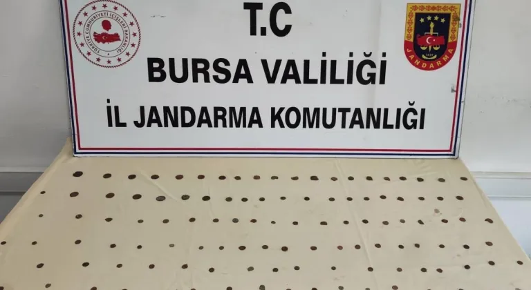 Mudanya Bademli'de tarihi eser operasyonu: 2 gözaltı