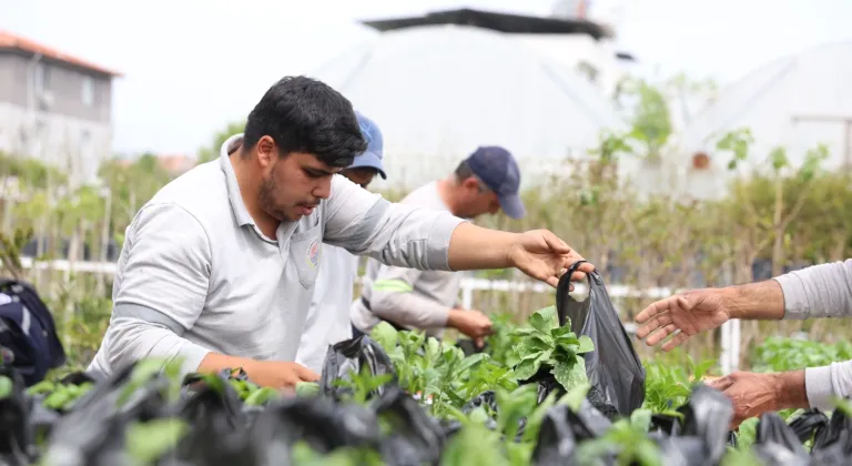 Muğla Dalaman’da üreticilere fide desteği sağlandı