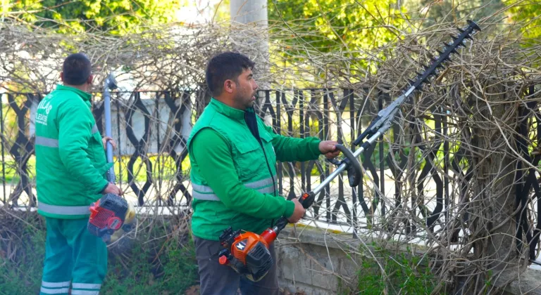 Muğla Milas'ta ilkbahar bakımları sürüyor
