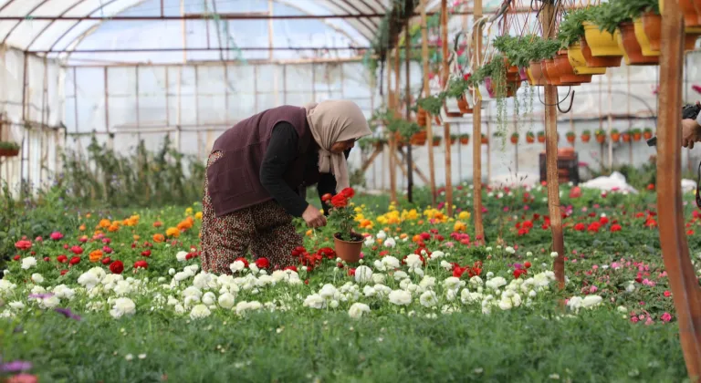 Muğla’da 28 milyon çiçek kadın emeğiyle üretildi