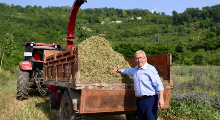 Ordu’da atıl arazi tarıma kazandırıldı