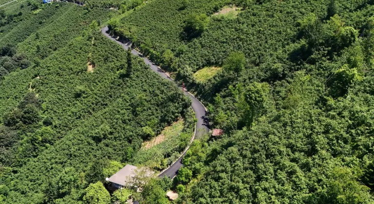Ordu’da Kırsal Ulaşım Güçleniyor