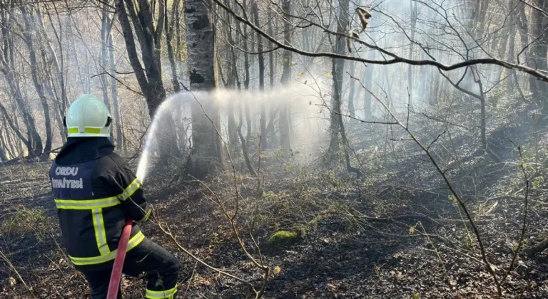 Ordu’da son bir haftada 40 yangın çıktı