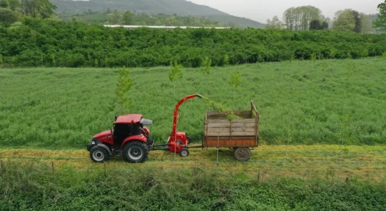 Ordu’da Tarım ve Hayvancılıkta Yeni Dönem