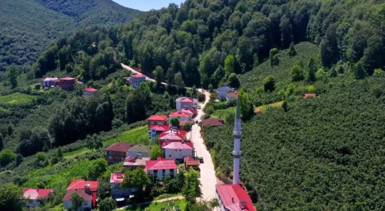 Ordu’da Ulaşım Atağı: Aybastı’ya Beton Yol