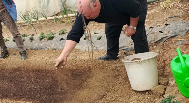 Pazaryeri’nde Tütün Umudu: Üreticide Yüzler Gülüyor