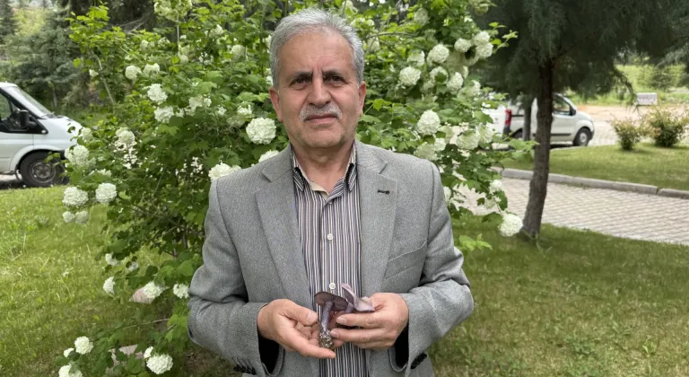 Prof. Dr. Türkekul: Bilmediğiniz mantarı tüketmeyin, uzmanına danışın