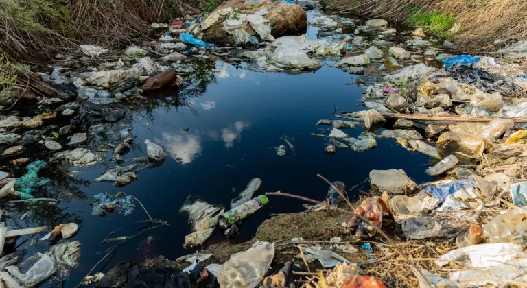 Prof. Dr. Ünüsan'dan mikroplastik uyarısı: Bitki bazlı çözümler umut veriyor ancak...