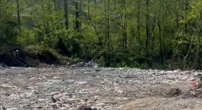 Rize’de vahşi depolamaya milyonluk ceza! Çevre'den suç duyurusu