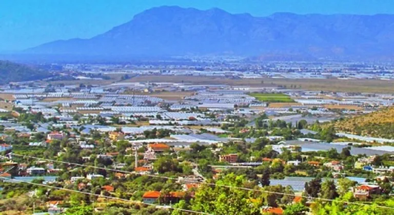 Sahil kesimdeki örtü altı üreticilere soğuk hava uyarısı