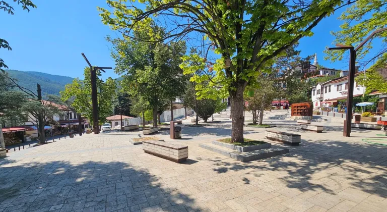 Sakarya Taraklı’da tarihi çınar yeniden hayat buluyor