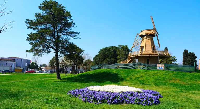 Sakarya’da baharın büyüleyici cümbüşü