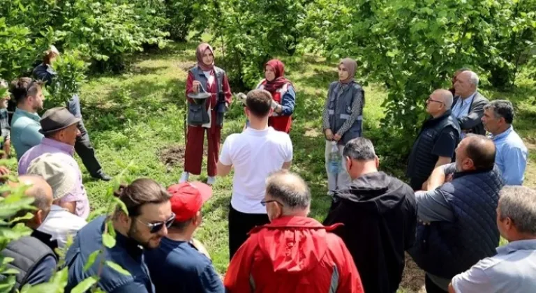 Sakarya’da Çiftçilere Feromon Tuzağı Desteği








