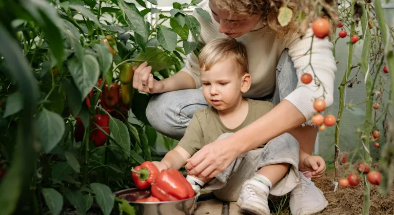 Sakarya’da çocuklar tarımın kaşifi olacak