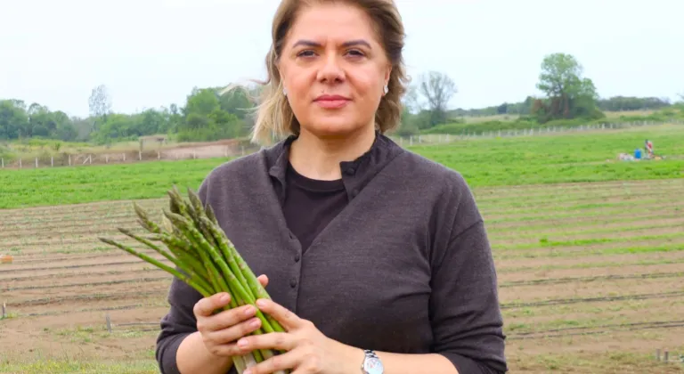 Sakarya'da “Organik Kuşkonmaz” üretimi bakanlık kayıtlarına geçti