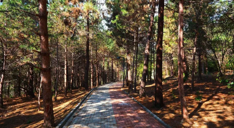 Sakaryalılar baharı ‘Huzur Koridoru’nda koşarak karşılayacak