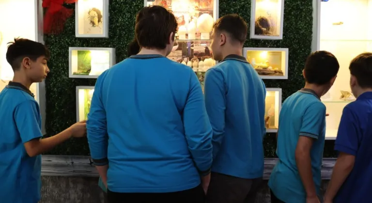 Samsun'da ortaokul öğrencilerinden okulda Doğa Müzesi