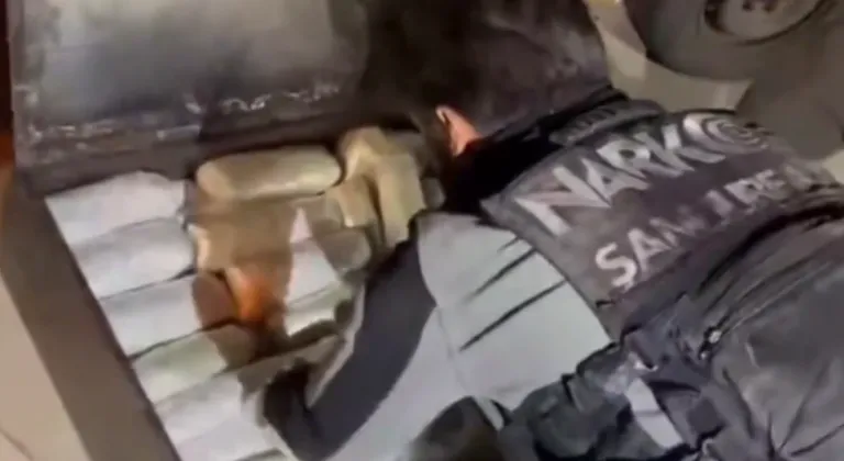 Şanlıurfa’da 20 kilogram skunk ele geçirildi