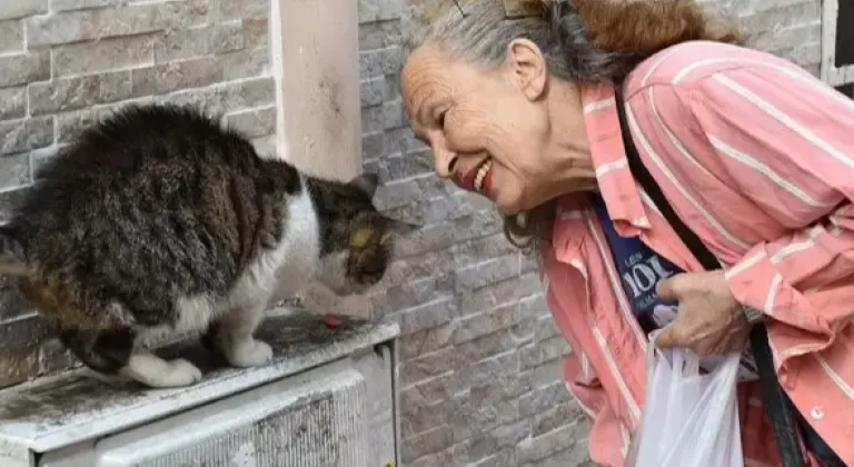 Sokak hayvanlarının “Panter Emel”i hayatını kaybetti