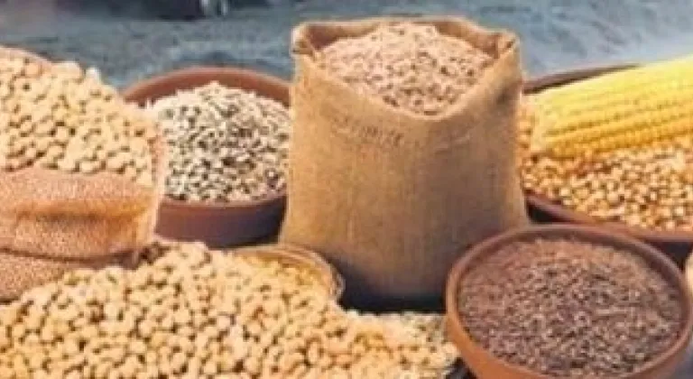 Tarımda Üretici Fiyatları Yıl Sonunda da Artış Gösterdi