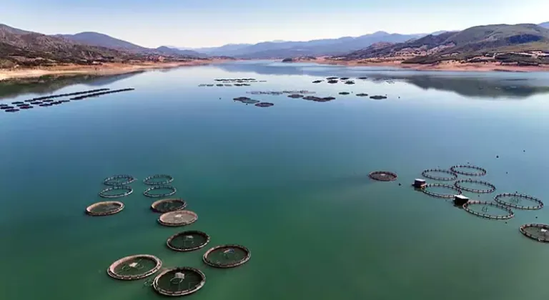 Tokat - Almus Barajı’nda yetiştirilen alabalık ve somon balığı 5 ülkeye ihraç ediliyor