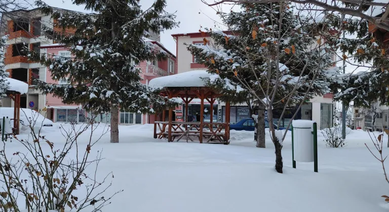 Tokat'ın ilçelerinde kar yağışı etkisini sürdürüyor