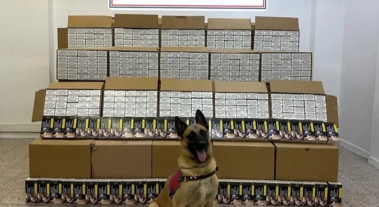 Tokat’ta 1 milyon 200 bin TL'lik makaron ele geçirildi