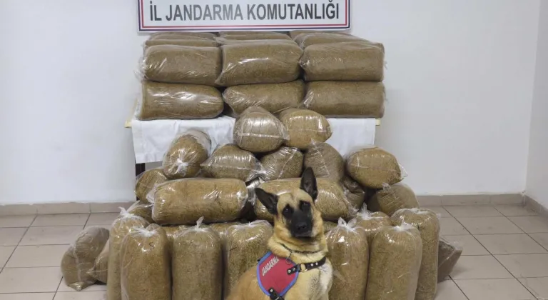 Tokat'ta 341 kilo kaçak tütün ele geçirildi
