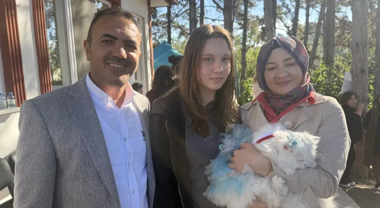 Tokat'ta kediler güzellik yarışmasında podyuma çıktı