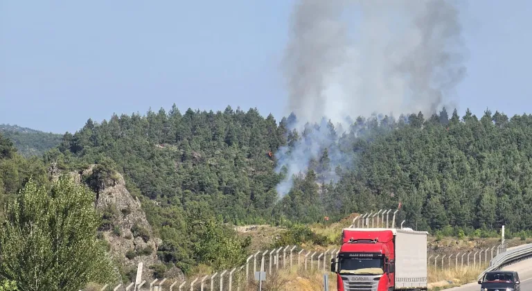 Erbaa'da orman yangını