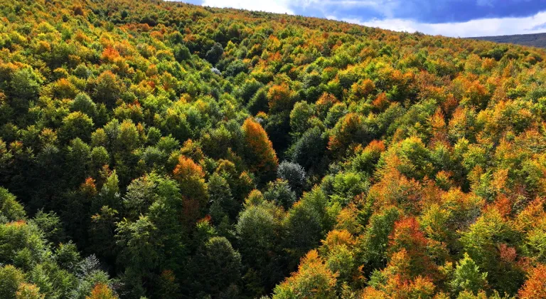 Tokat’ta sonbaharın güzelliği havadan görüntülendi