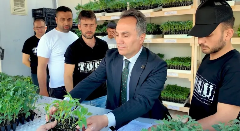 Tokat'ta üniversitenin ürettiği 1 milyon fide satışa sunuldu