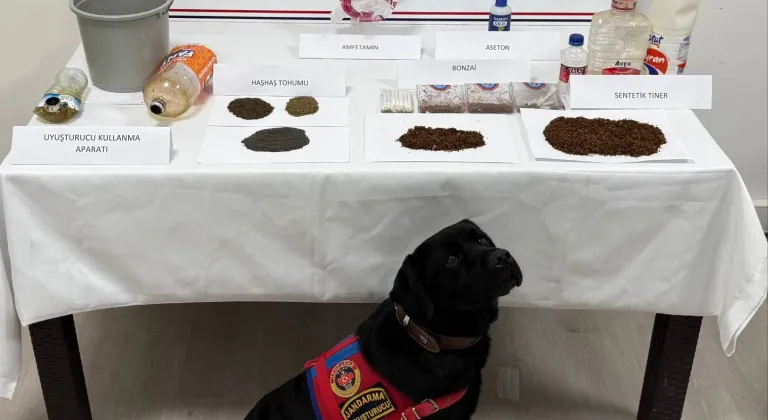 Tokat'ta uyuşturucu operasyonu 7 gözaltı