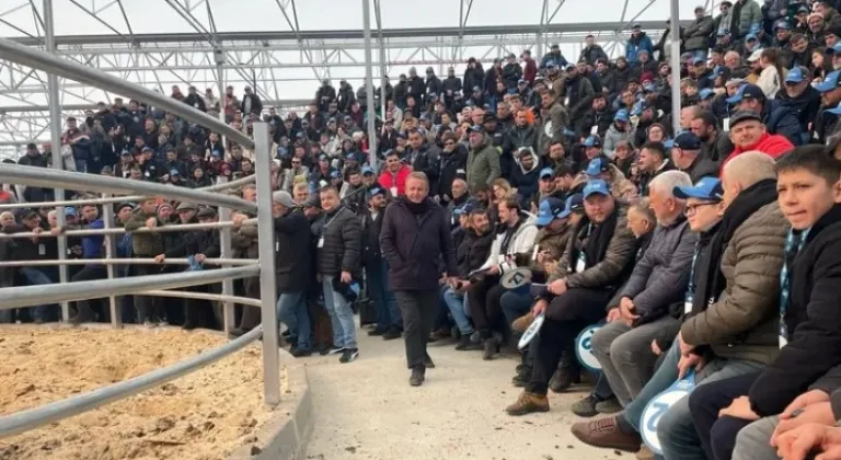 Trakya’nın İlk Sütçü İnek Mezatı Yoğun İlgiyle Gerçekleşti
