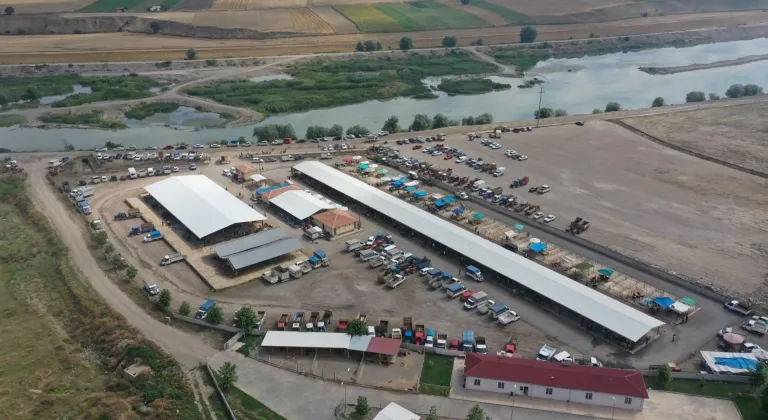 Turhal'da başlayan şap hastalığı sebebiyle hayvan pazarları kapatıldı